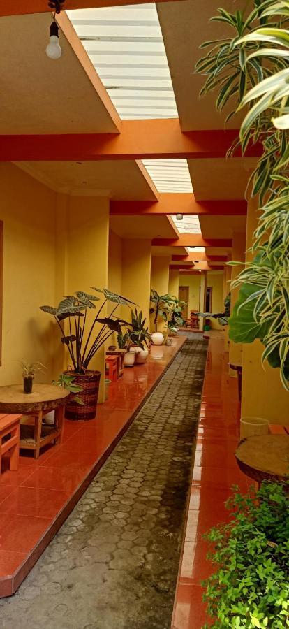 Latansa Homestay Баньюванги Экстерьер фото
